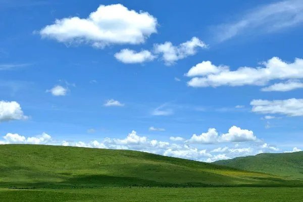 草原的自然风光和民族风情的资料