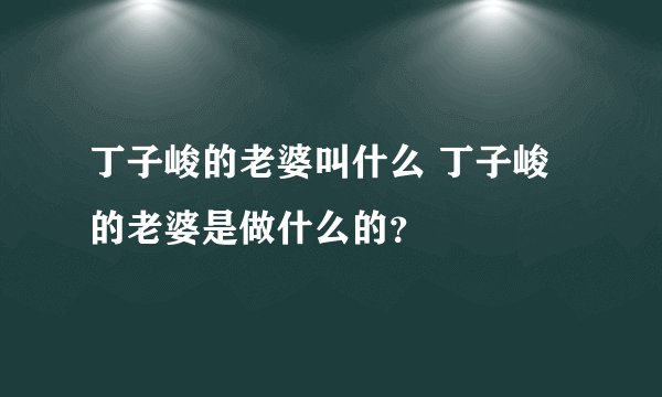 丁子峻的老婆叫什么 丁子峻的老婆是做什么的？