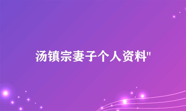 汤镇宗妻子个人资料