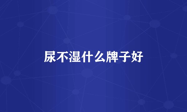 尿不湿什么牌子好