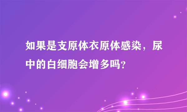 如果是支原体衣原体感染，尿中的白细胞会增多吗？