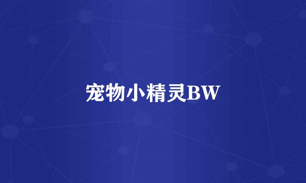 宠物小精灵BW