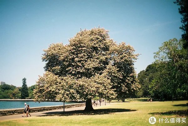 Contax G1 胶片相机:记录旅途的点点滴滴