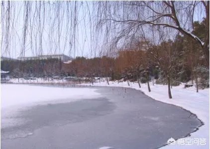 武汉生物工程学院是不是很垃圾