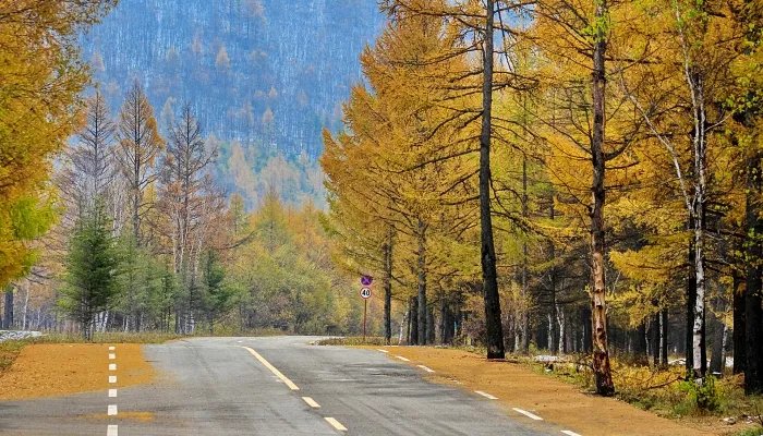 2022年国庆节放假几天 2022国庆怎么放假时间是哪几天