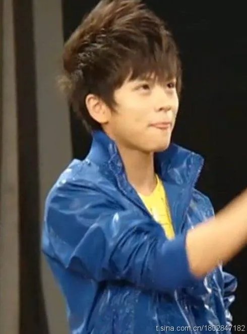 武艺的弟弟是谁