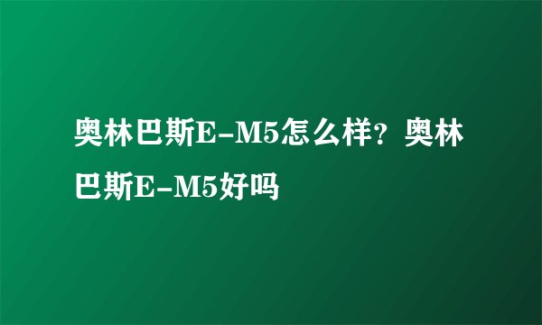 奥林巴斯E-M5怎么样？奥林巴斯E-M5好吗