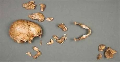 世界最大的鲶鱼都有哪些？