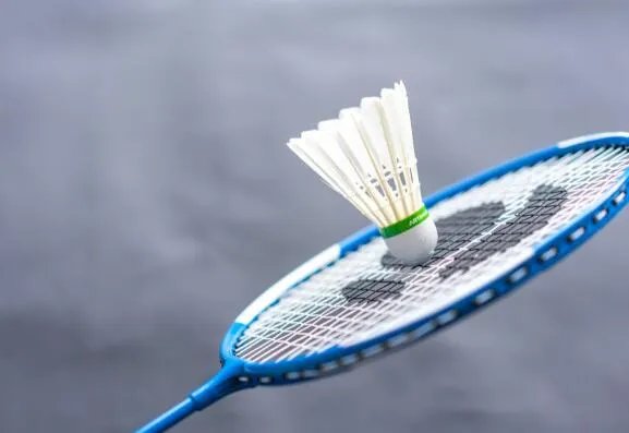 羽毛球大多是什么羽毛制成的  羽毛球的羽毛材料一般是什么毛