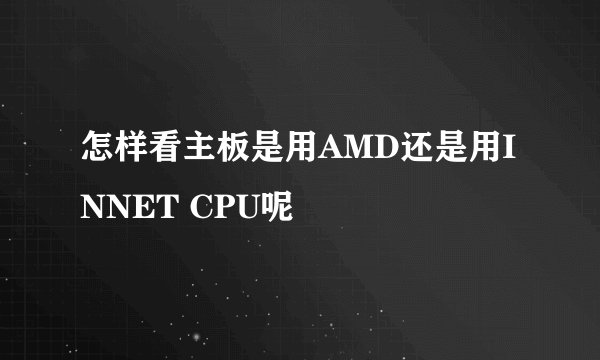 怎样看主板是用AMD还是用INNET CPU呢