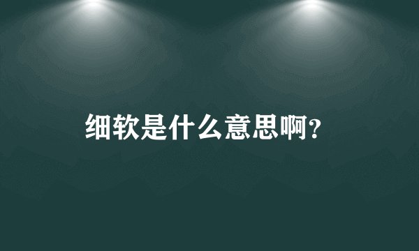 细软是什么意思啊？