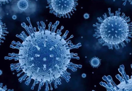 31省份新增本土12151