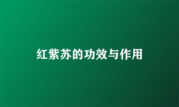 红紫苏的功效与作用