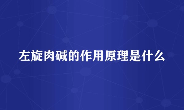 左旋肉碱的作用原理是什么