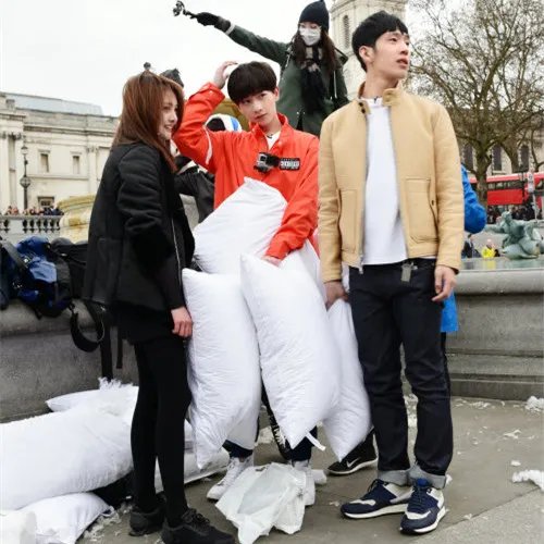 井柏然向郑爽撒娇花儿与少年 正经夫妇官配CP爆棚