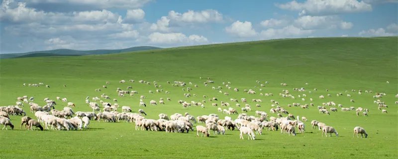 呼伦贝尔大草原在什么地方