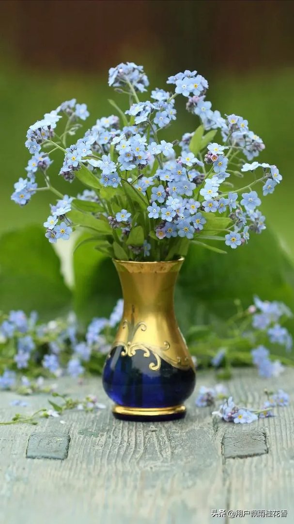 你见过级别最低的却又很伟大的荣誉证书是什么？