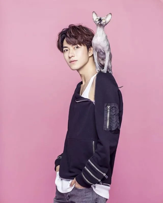 演员范晓东有人了解吗？