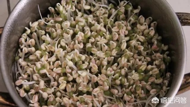 什么是家的味道？