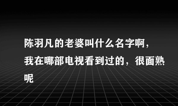 陈羽凡的老婆叫什么名字啊，我在哪部电视看到过的，很面熟呢