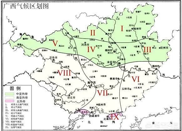 在广西这边养什么鹅好养殖？