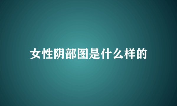 女性阴部图是什么样的