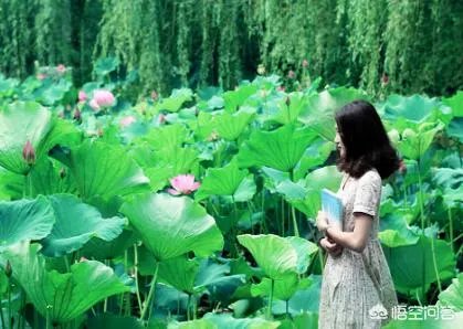 武汉生物工程学院是不是很垃圾