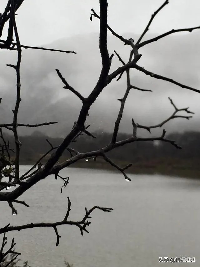 阴雨天如何拍出好照片?