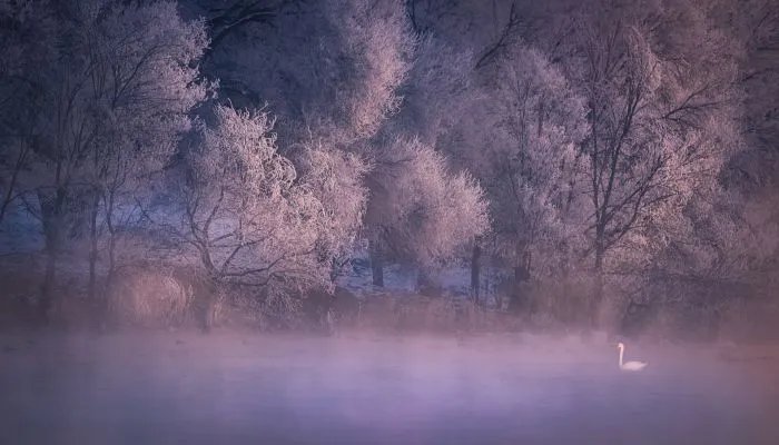 2022年立春是几九第几天 2022年立春是几九冷不冷