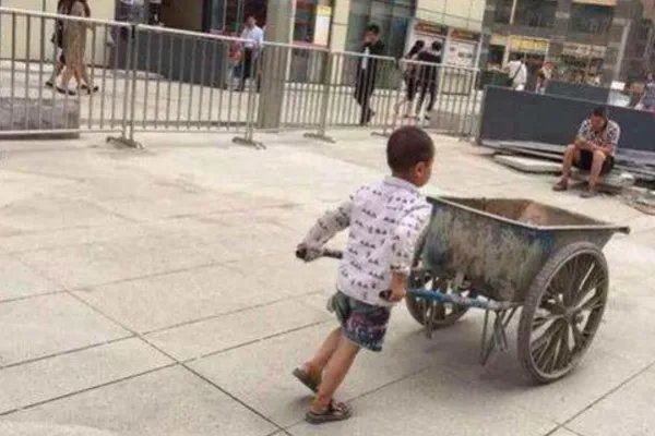 你赞同生而不养需要受到惩戒这样的做法吗?