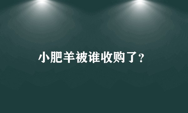 小肥羊被谁收购了？