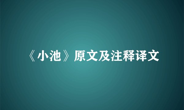《小池》原文及注释译文