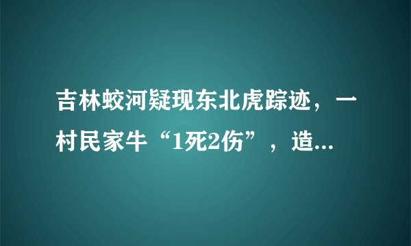 吉林蛟河疑现东北虎踪迹,一村民家牛“1死2伤”,造成的损失谁来承担?