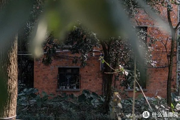 a6400开箱与三天使用体验 「多图预警!」