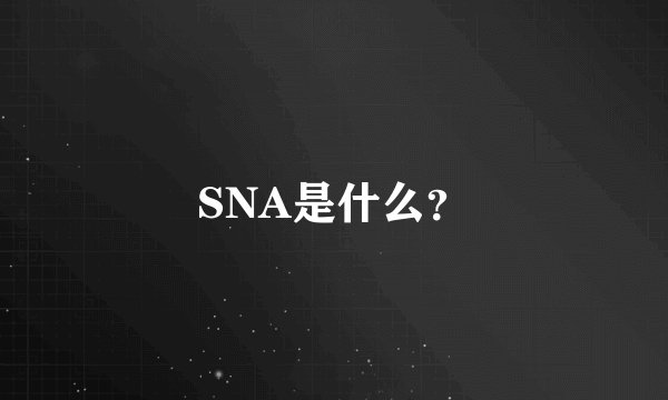 SNA是什么？