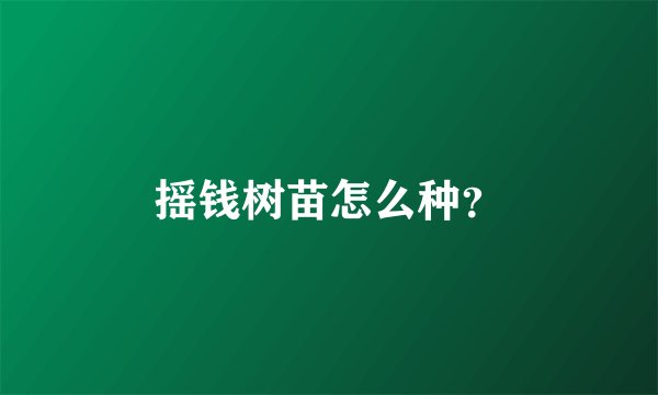 摇钱树苗怎么种？