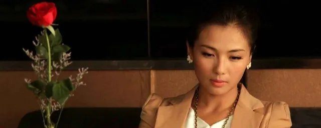 贤妻电视剧剧情 贤妻剧情简介