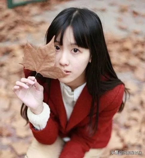 开端电视剧看不明白