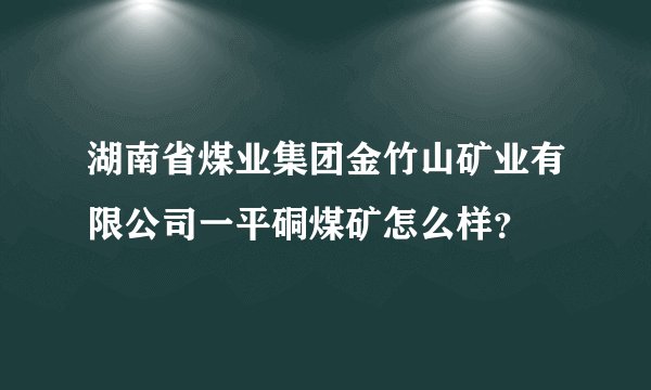 湖南省煤业集团金竹山矿业有限公司一平硐煤矿怎么样？
