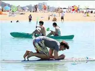 充电旅行的介绍