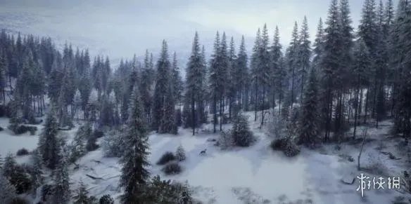 新狩猎体验《猎人:野性的呼唤》2019版已登陆Steam