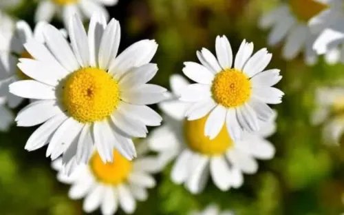 有感情洁癖怎么办 怎么消除感情洁癖