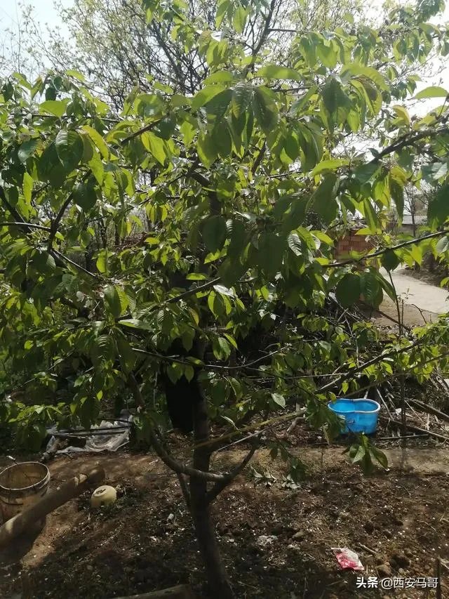 农村鱼塘增8亩，鱼塘用多大的增氧机比较好，该注意些什么？叶轮式增氧用多大的？