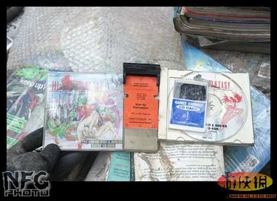 百年洪水来袭 澳洲玩家藏品惨遭洪水蹂躏(图)