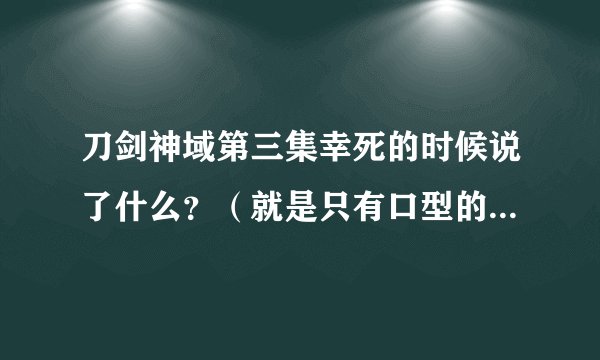 刀剑神域第三集幸死的时候说了什么？（就是只有口型的那点）？