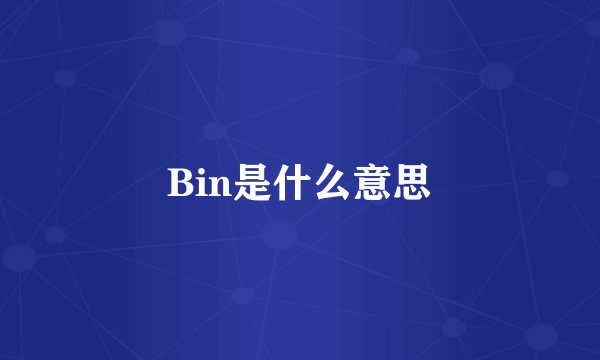 Bin是什么意思