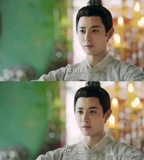 张新龙演的电视剧?