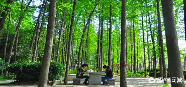 武汉生物工程学院是不是很垃圾