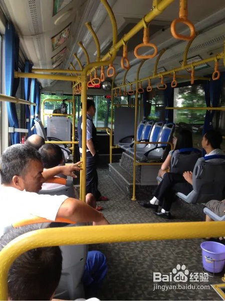 深圳仙湖植物园旅游攻略