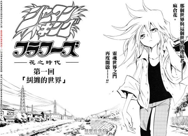 通灵王有第二部吗？